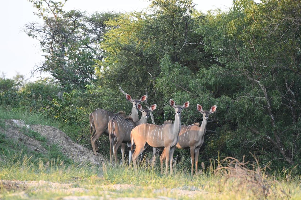 Ngangane Lodge & Reserve Francistown Exterior foto